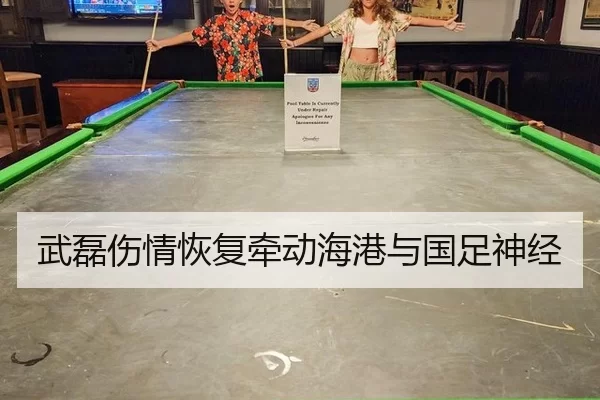 武磊伤情恢复牵动海港与国足神经